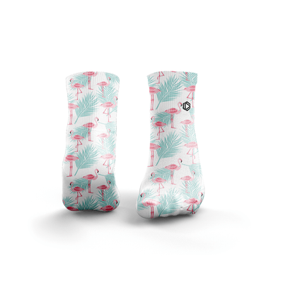 Flamingos
